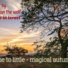 time to little - magical autumn