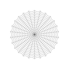 arachnida