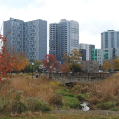 CITY SERIES EPISODE 3 ft aaron and champaign