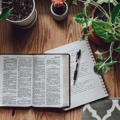 Bible Study With The Pastor - John, Chapter 11