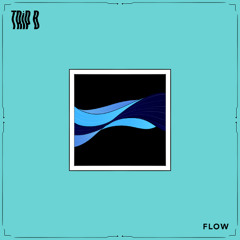 TRiP B - FLOW