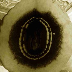 Anastasia Vronski - Midnight Hour