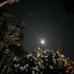 Hey Moon
