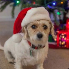 Pirates On a Submarine (ft. Onion and Henry)