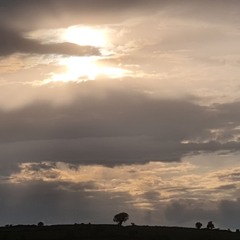 Old Belief