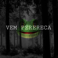 TAMPEI NA PORRADA COM O SAPO - VEM PERERECA (DJ DOIS JOTA ft - MC FABINHO DA OSK))