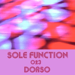 Sole Function 023