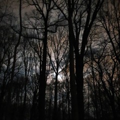 kleine traumwelt w/ 0ckult prod. coco