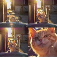 Sans Burns the Water: Take 2