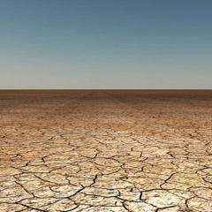 wasteland