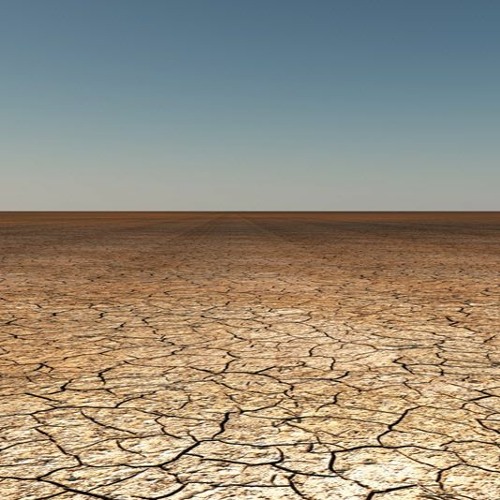 wasteland