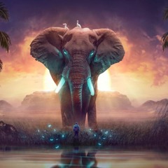 Elephant's Mind