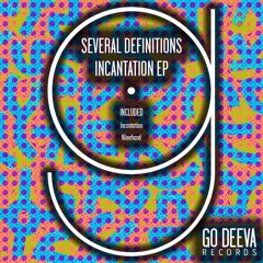 Several Definitions - Incantation (Original Mix)