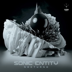 Sonic Entity - Nocturno (sample) | OUT NOW @ Techsafari records