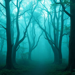 Solitude