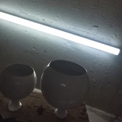 our cups overflow with light (disquiet0719)