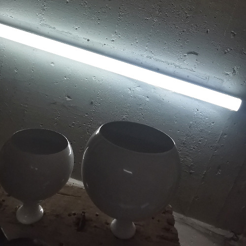 our cups overflow with light (disquiet0719)