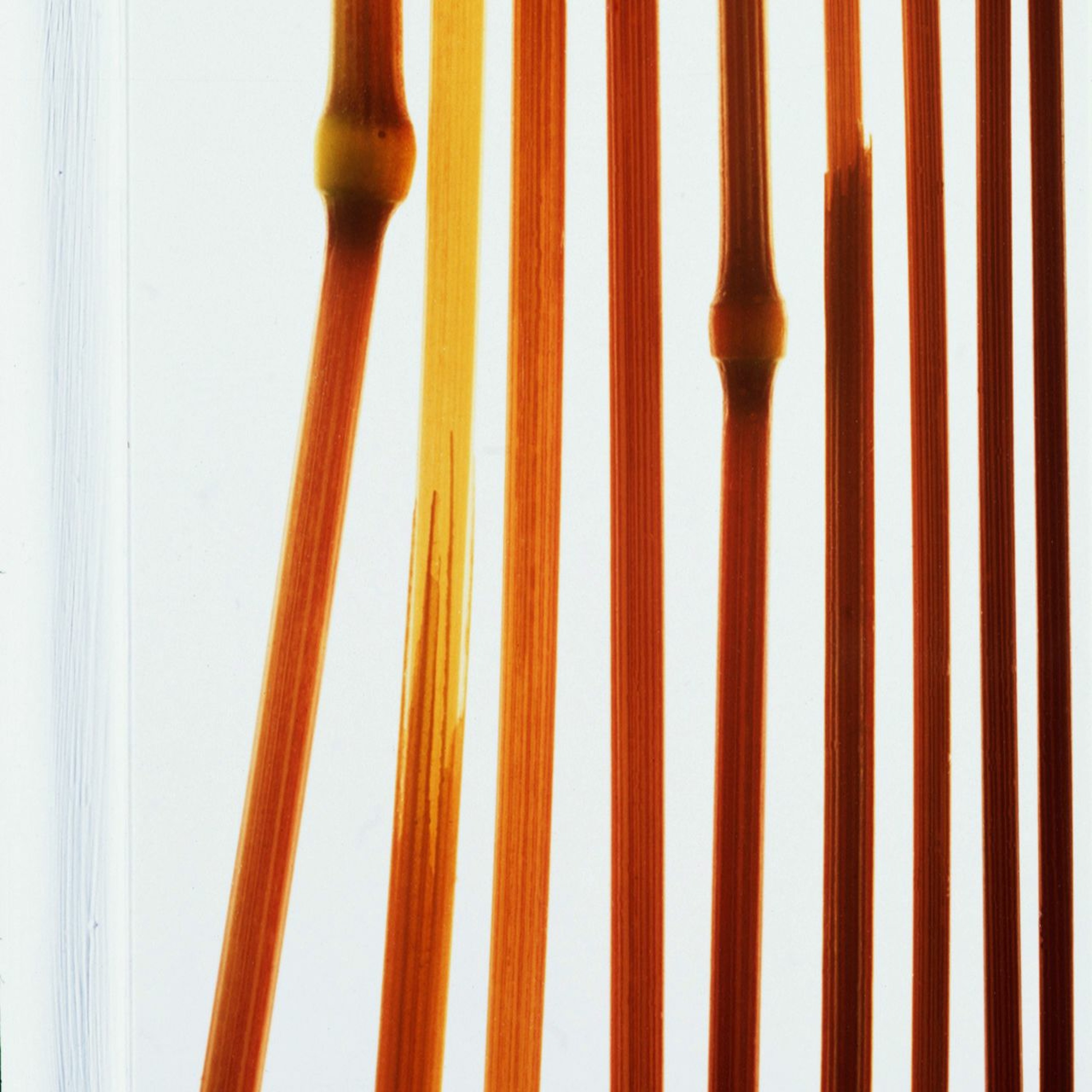 Dry Heat, 1985 episode artwork