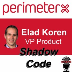 Shadow Code Security w/ Perimeter X