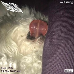 DESPACITO w/ R Weng on N10.AS Radio 02.11.20