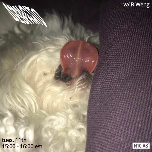DESPACITO w/ R Weng on N10.AS Radio 02.11.20