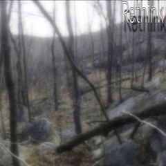 slatthus-rethink
