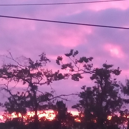 Chuckyy - My World (Instrumental)