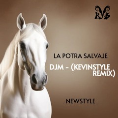 DjM & Skb - La Potra (KevinStyle Remix!)