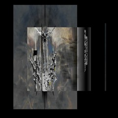 DEAD YUCCA - KATSI