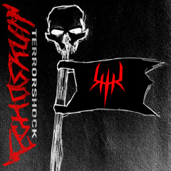 TERRORSHOCK