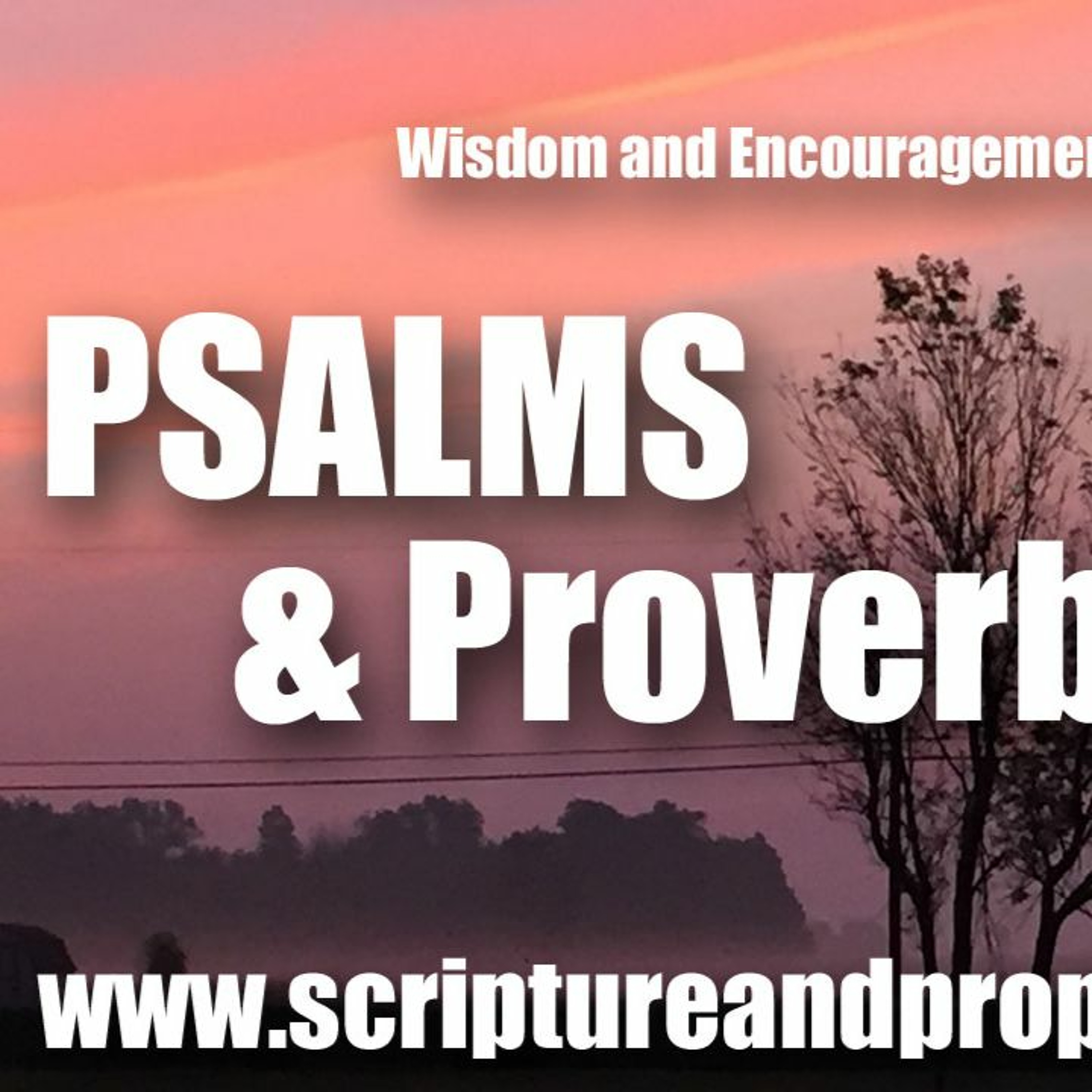 Wisdom From Psalm 18 & Proverbs 21: Do Not Be Afraid, The LORD Will Deliver