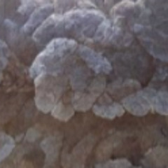 ENTROPY - U Know (demo)