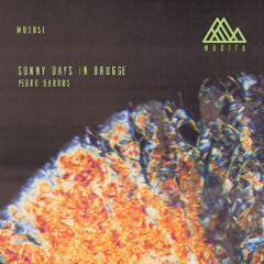 Pedro Barros - Sunny Days in Brugge (Original Mix) Snippet