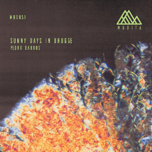 Pedro Barros - Sunny Days in Brugge (Original Mix) Snippet