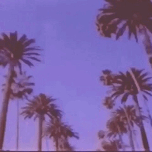 flamingos - baco exu do blues ( slowed + reverb )
