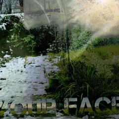 YOUR FACE V2 DEMO