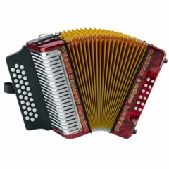 MUSICA POPULAR PORTUGUESA CONCERTINA.