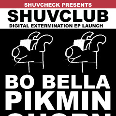 pikmin b2b shuvcheck on the tools