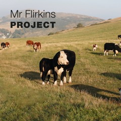 Project
