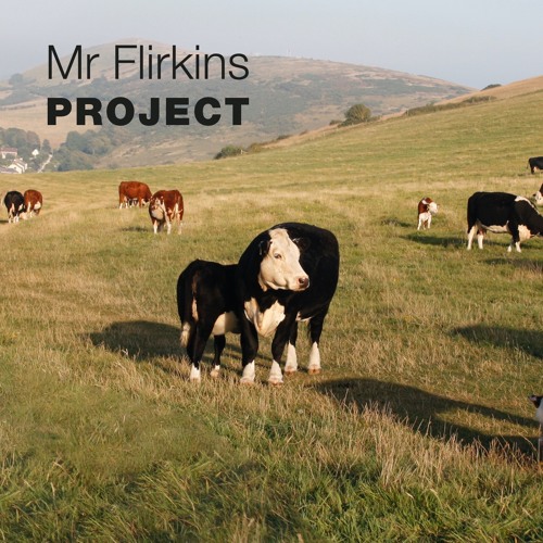 Project