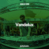 Vandelux | Morning Block Party Set | AM.RADIO 015 DJ mix artwork - Electronic music tracklist cover image