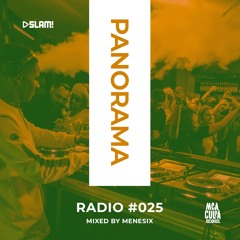 025 - PANORAMA Radio - Menesix