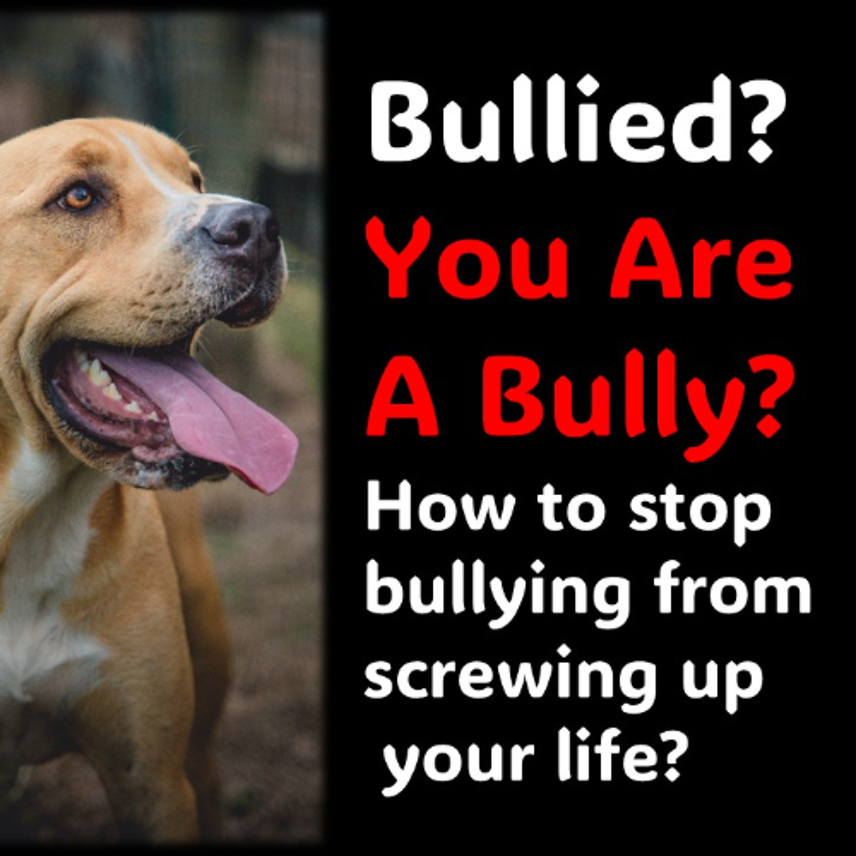 Bullied Or are You a Bully