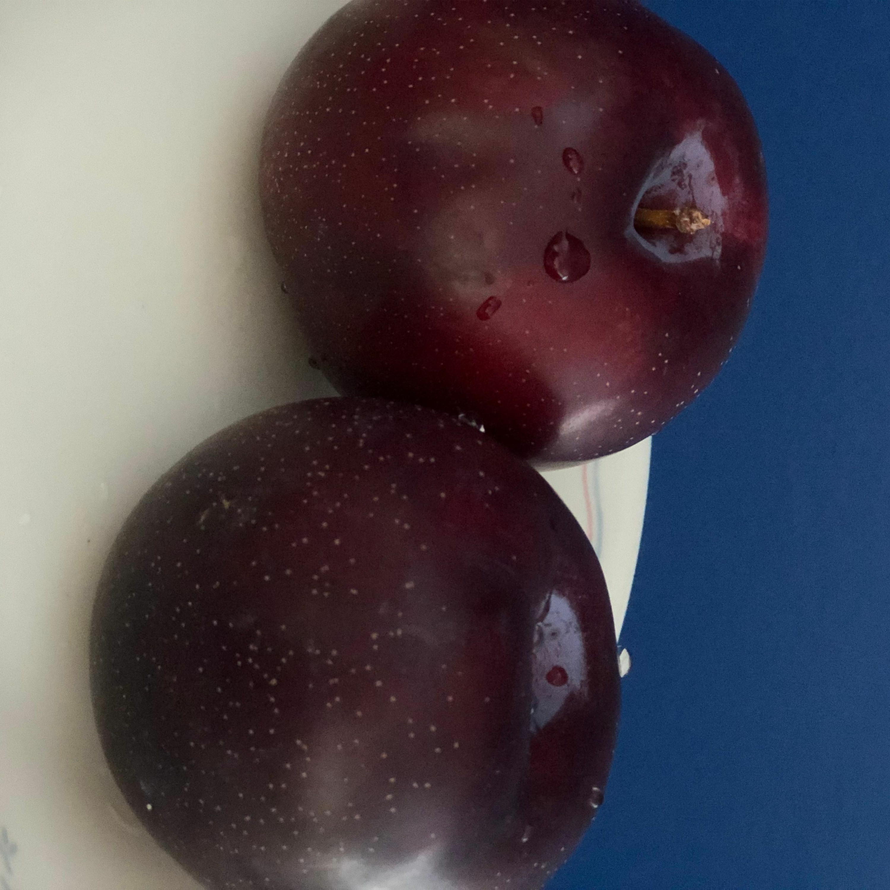 My Plums: Puke n' Rally