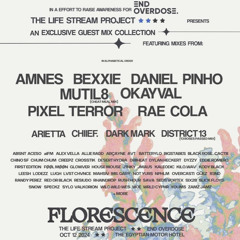 Florescense SAVA. Guestmix