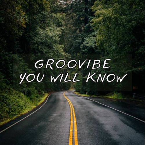 Groovibe - You Will Know ( Radio Edit)  Available on all platforms