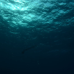 Abyss [FREE DOWNLOAD]