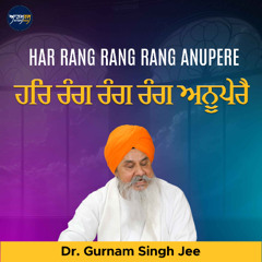 Har Rang Rang Rang Anupere (Dr. Gurnam Singh Jee)