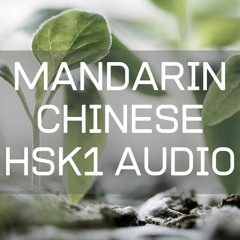 Mandarin Chinese HSK1 Lesson 1.1 : Hello
