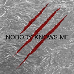 Nobody knows me